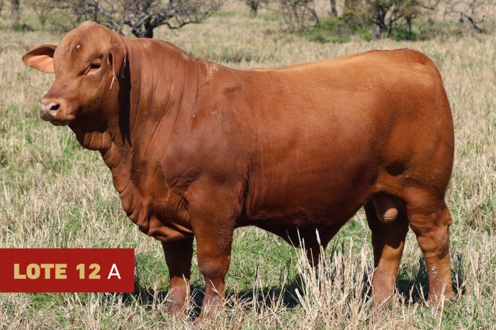 Rincón de Iberá