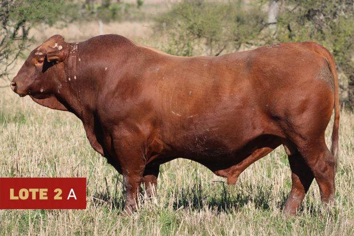 Rincón de Iberá